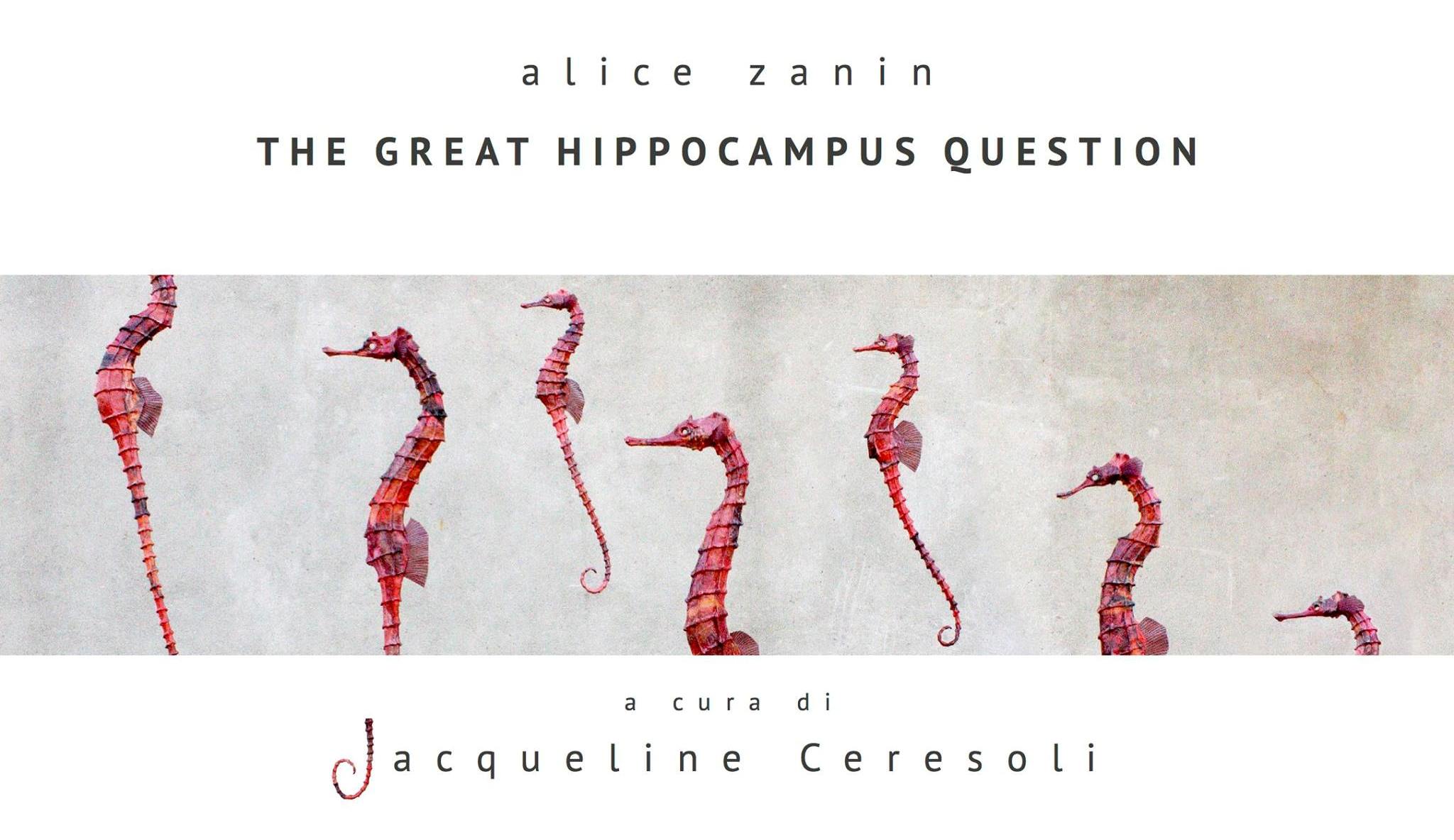 Alice Zanin 