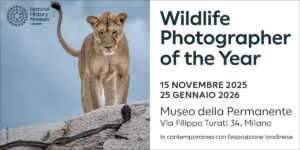 Wildlife Photographer of the Year – Dal 15 novembre 2025 al 25 gennaio 2026